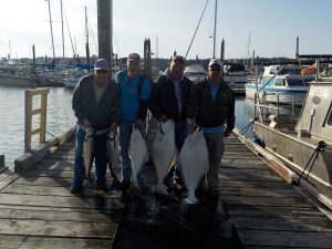 Group Salmon and Halibut Fishing in Port Hardy and Port Mcneill